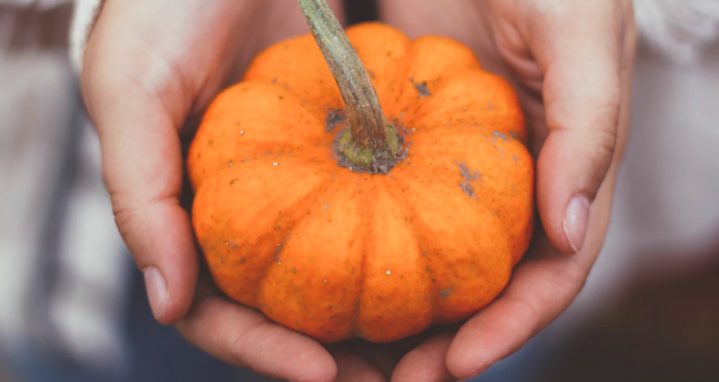 pumpkin, pumpkin oats