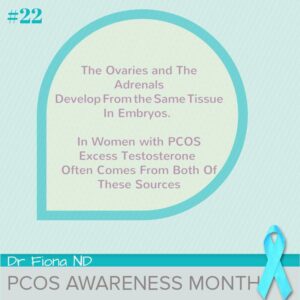The Ovaries and The Adrenals Develop From the Same Tissue In Embryos. In Women with PCOS Excess Testosterone  Often Comes From Both Of These Sources